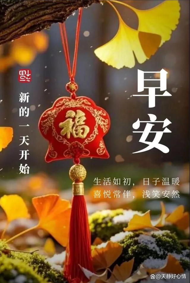 经典番号 经典番号卡扣有些失灵了