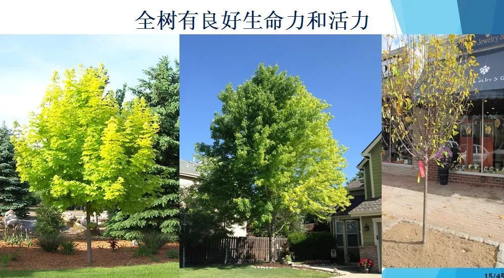 困困狗华伦天 我按摩椅的困困时间也到了海报