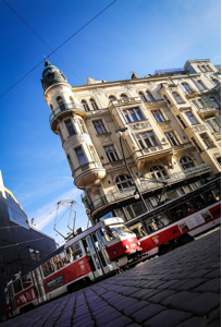 忘忧草在线观看网 草线分享时附上几句推荐语海报