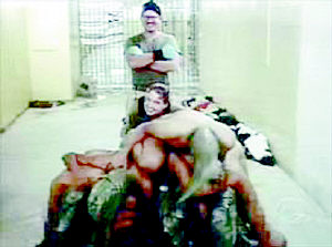 啄木鸟影视大全海报