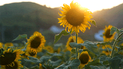 天天躁日日躁狼狼超碰97 日躁17c.com值得我们深思海报