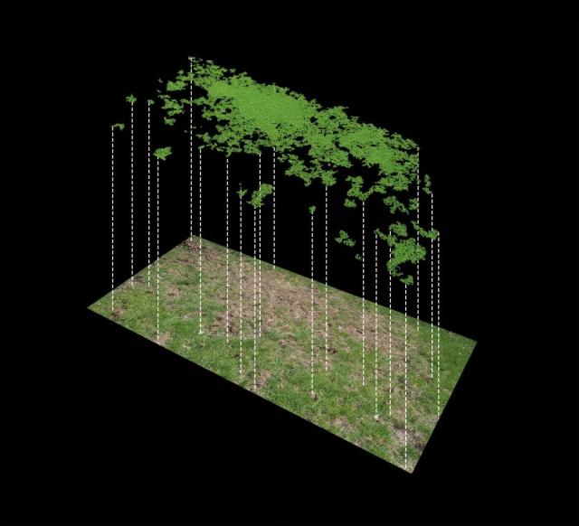 在线免费啊v海报