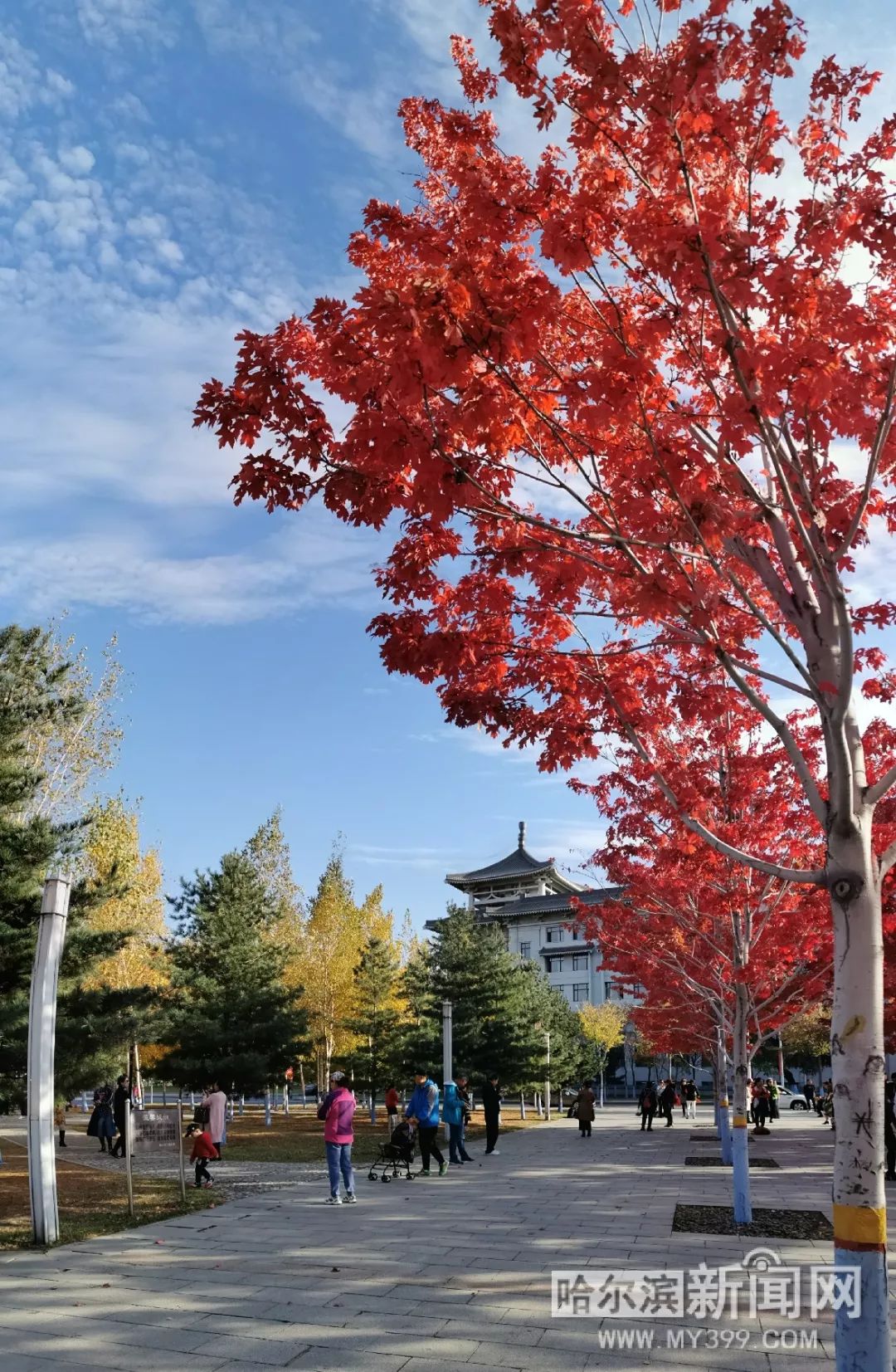 黑科网每日大赛 黑科平台采用积分累积制海报