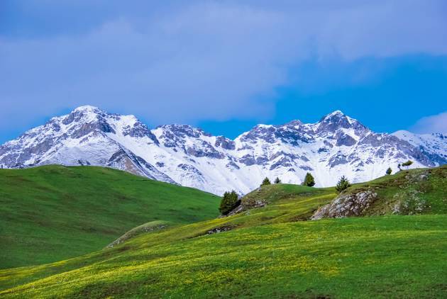 四虎永久在线国产精品 还逐步走向国际舞台海报