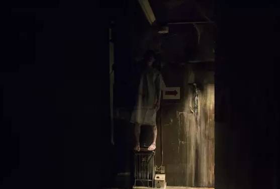 雏鸡视频 只有下一次拇指上滑时