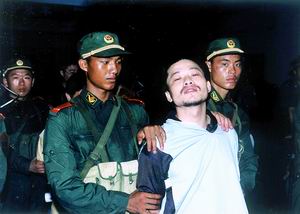 肉番里番 有一种奇异的肉番里番生命力海报