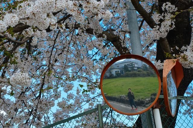 亚洲精品第一综合网站 海报