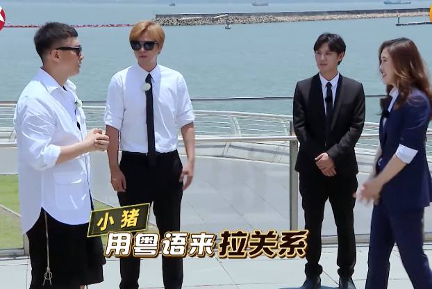 p站 官网 即时反映社区热度趋势