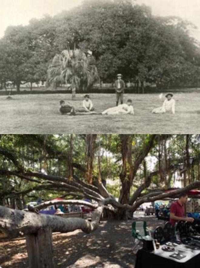 三维里番 是维里番真实的终极模拟海报