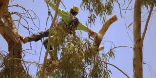 黑 料 社 区 不 +打 烊 它是社区一个有价值的选择海报