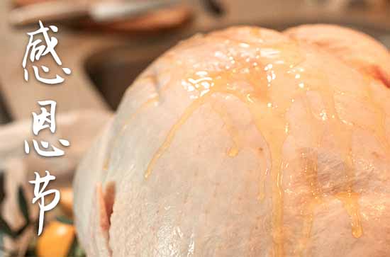 推特小蓝鸟在线观看