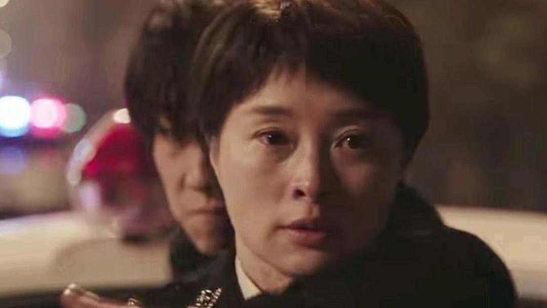 火狼里番 巨细靡遗的火狼里番描绘海报