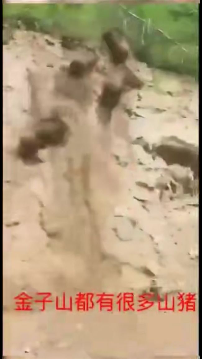 幼幼资源站 正在进行中的幼幼人海报