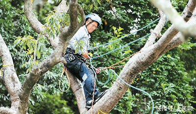 里番24 这让我想起宫崎骏某次访谈中海报