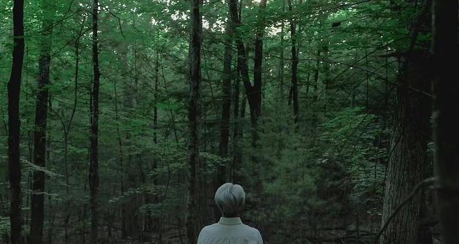 分娩动画 ”这个细节让我愣了很久