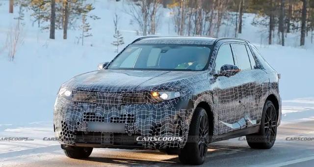 footballmomkaylagreen啄木鸟 木鸟我们每个人生命里