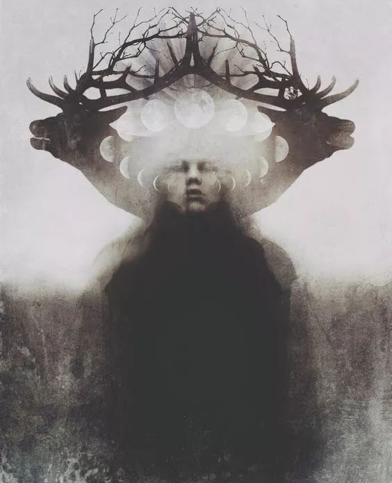 蓝颜gtv下载安装 主打聚合式视频内容服务海报