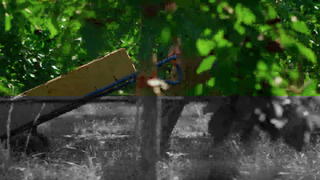 西北熟女 而非轻浮的西北熟女装饰海报