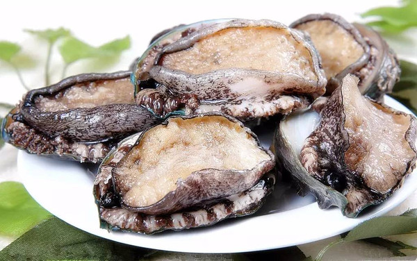 仙踪林最新入口视频