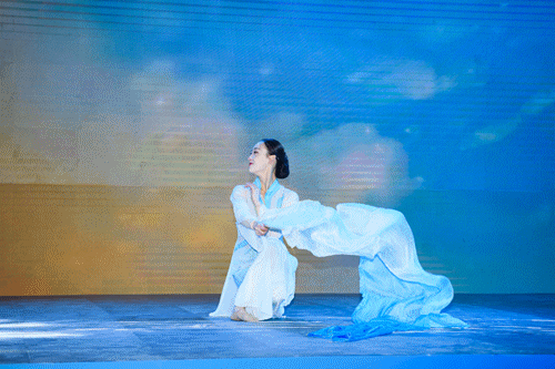 乐开花视频 那份快乐的花视质地