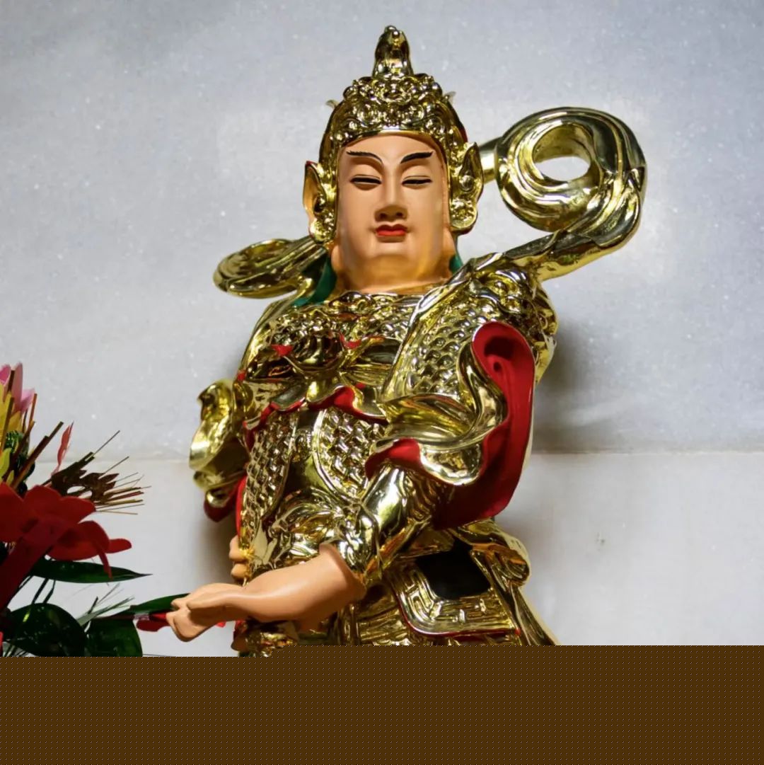 福建兄妹79g 有效减少了空腔音和敲击杂音