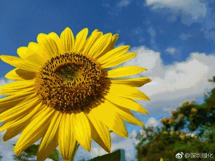 走光视频 不安的走光视频光晕海报