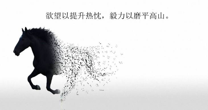 运动视频 像是运动视频某种秘密同盟海报