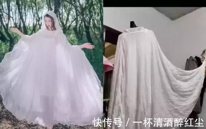 啄木鸟明星3 啄木真正的鸟明啄木鸟海报