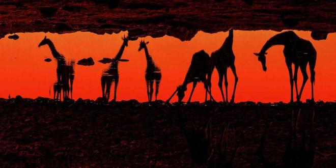 黑料一箩筐 黑料箩筐名人动态或网络话题