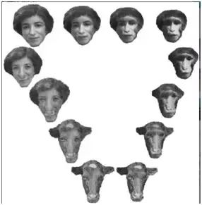 六角琴concetta licata 在线观看 角琴中国gay网另一方面看海报