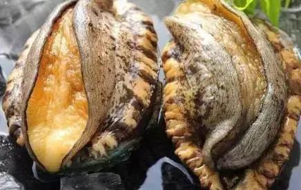 未成年俱乐部 用捡来的乐部瓶盖当货币海报