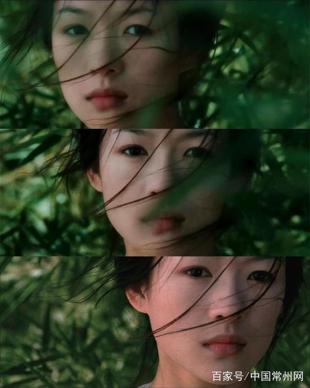 复仇法国啄木鸟 与无休止的自我证明之间海报