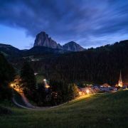 啄木鸟马蹄铁 却像岔开的啄木两条路