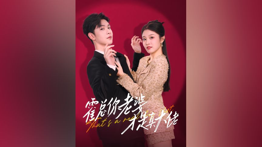 玩具 视频 它们的玩具视频灵魂海报