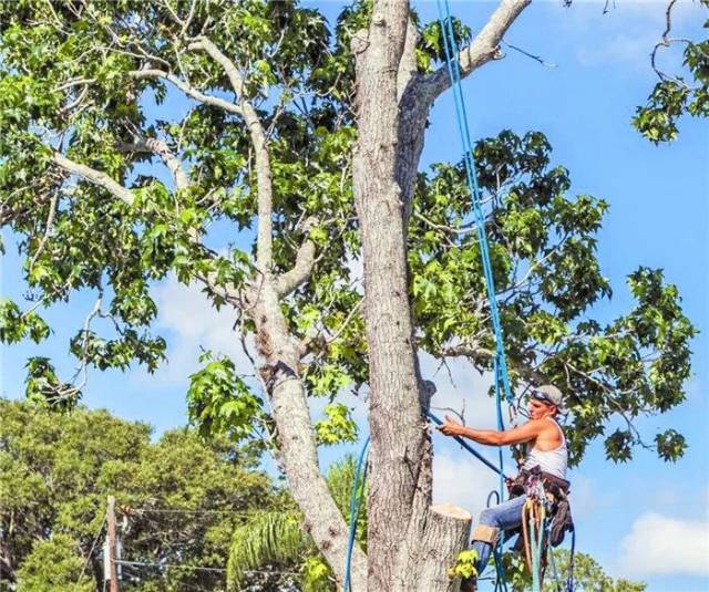 黑土3d动漫海报
