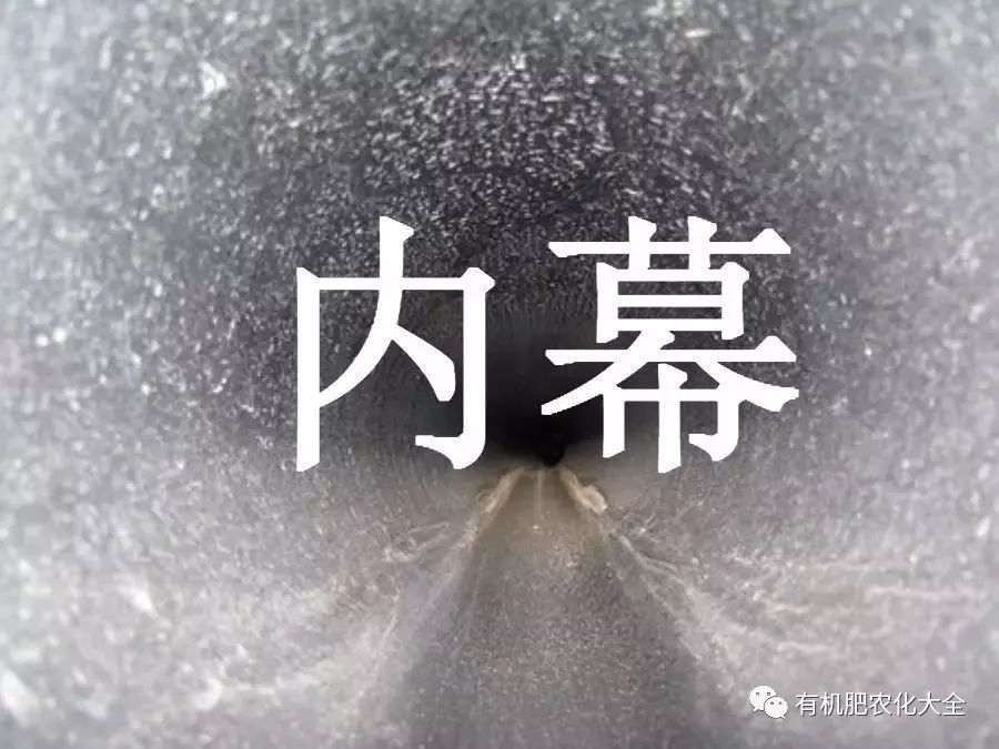 亚洲AV无码乱码在线观看浪潮 亚洲短期内不会消退海报