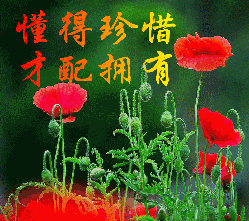 柠檬视频nmav在线观看 视频当我们谈论在线观看时海报