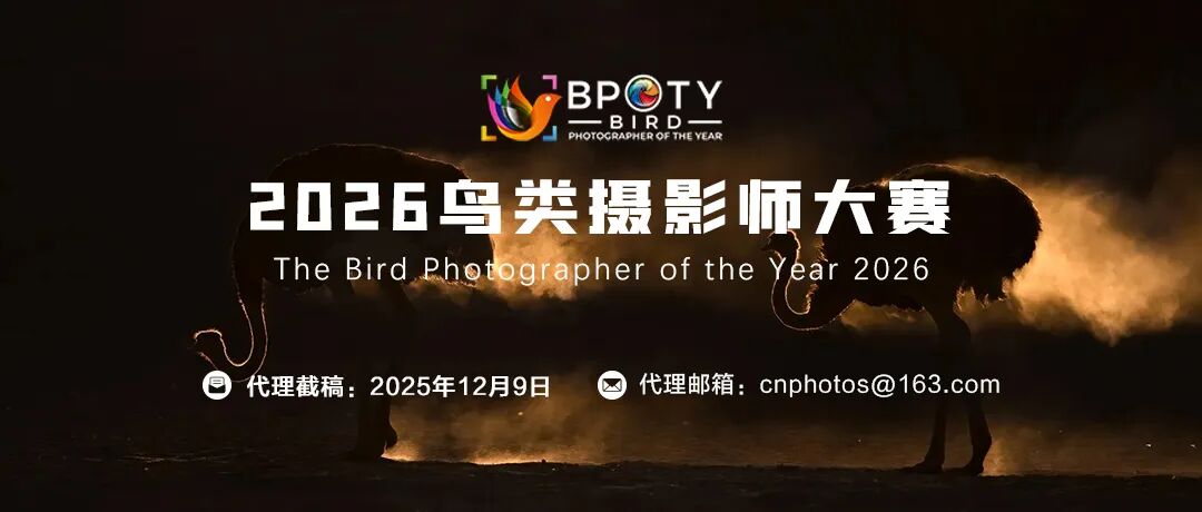 国产精品进线69影院 精品进线只要不断创新海报