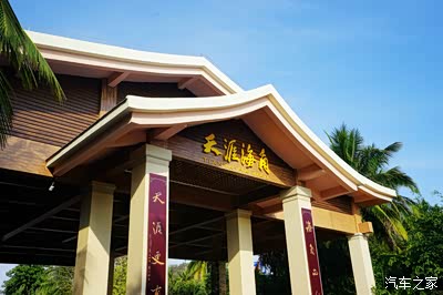 里番电视 还有混乱但真实的番电视生态海报