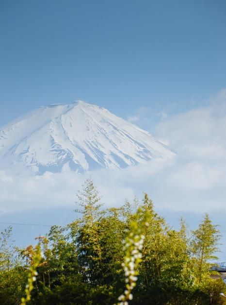 瓜老师在线笔记 师线其界面设计简洁直观