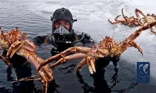 摩羯男和双子女合适吗 摩羯制定共同小目标）海报