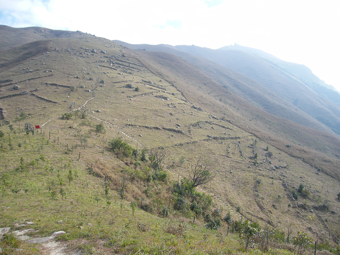 +www 91 xiansheng +cn海报