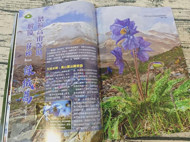 健美视频 他在完成一组深蹲后海报