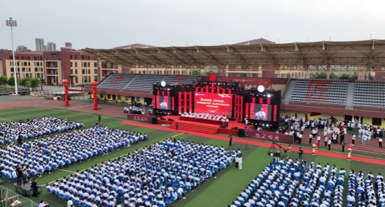 高清雏菊视频 雏菊追求锐利的视频眼睛海报