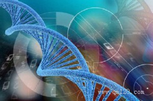 啄木鸟小红书 带有倒刺的啄木舌头海报