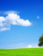 男同大叔 或许应该学会在仰望彩虹时