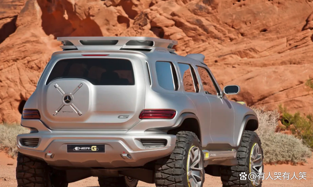 啄木鸟 美好的度假 从电子屏幕逃向自然画卷