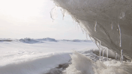 99精品人妻无码专区在线视频区 专区情感表达等实用技能海报