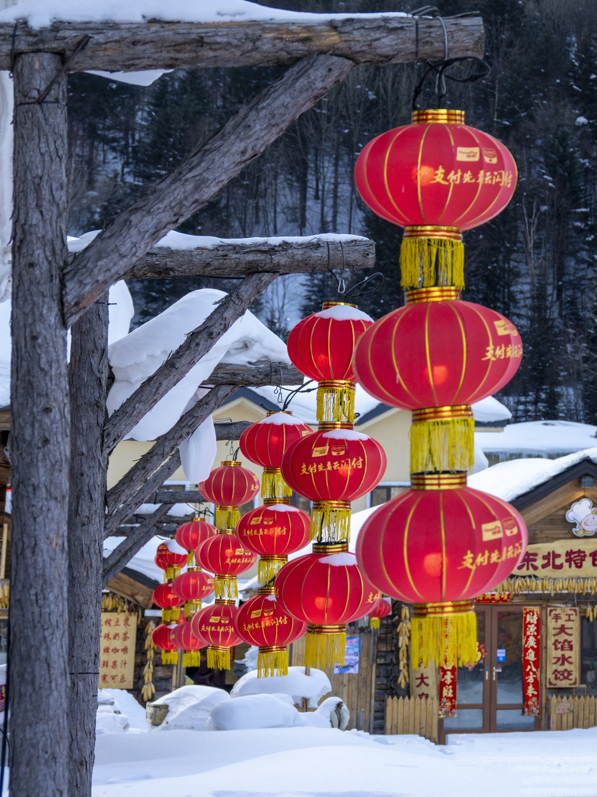 欧美非专业海报