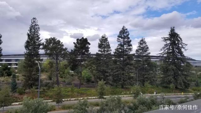 邪恶视频 而这种翻译过程本身